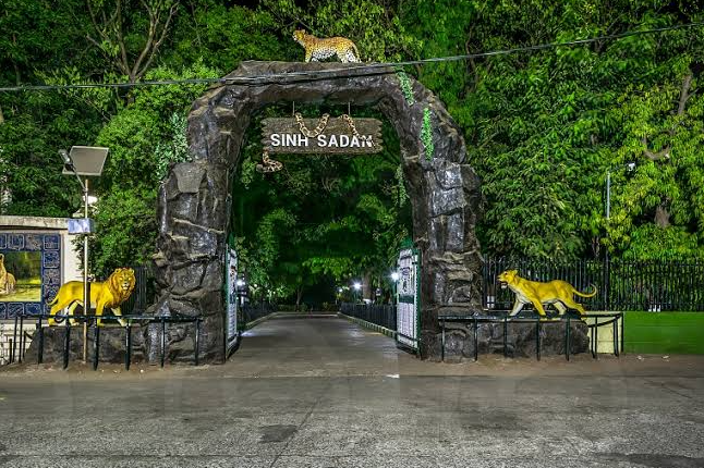 Sasan Gir Museum, Gir Somnath, Gujarat - Vushii.com Sasan Gir Museum, Gir Somnath, Gujarat - Vushii.com